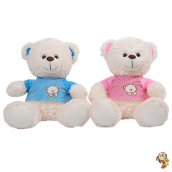 Oso de peluche con remera dos colores 25 cm sentado