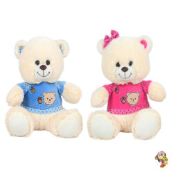 Oso con remera 24 CM