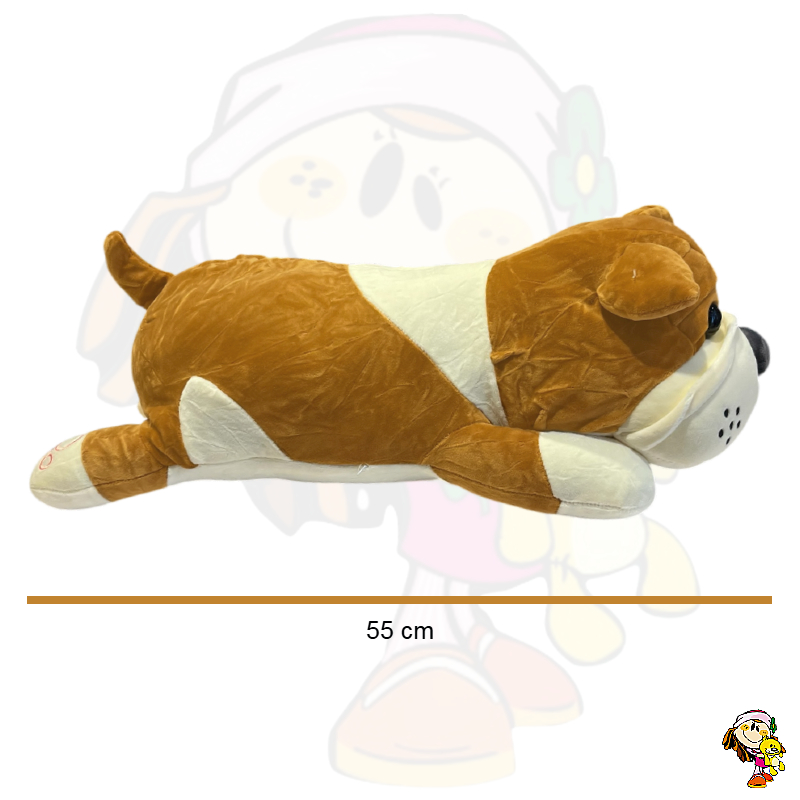 P2023-11 MARRON FOTO 2