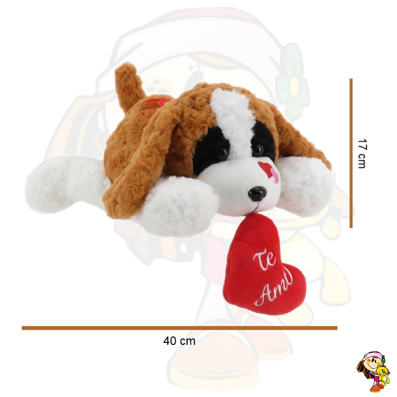 616103 SAN BERNARDO FOTO 2