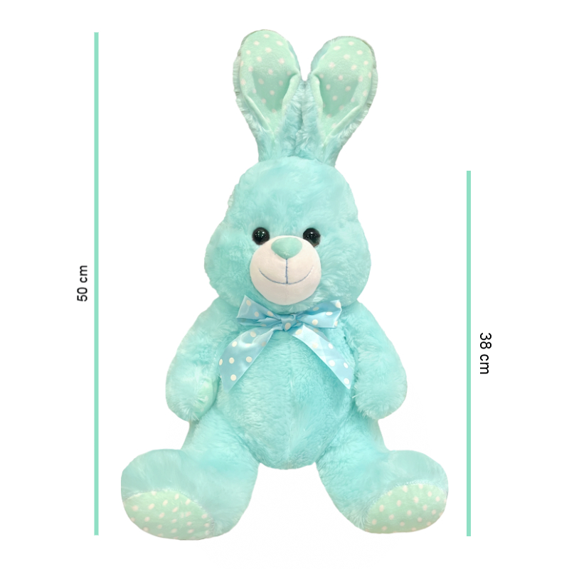 26161 TURQUESA FOTO 2