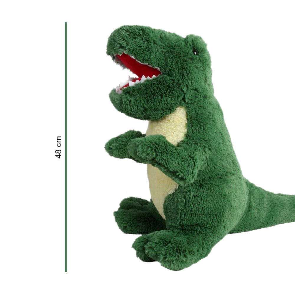 213067 DINO FOTO 2