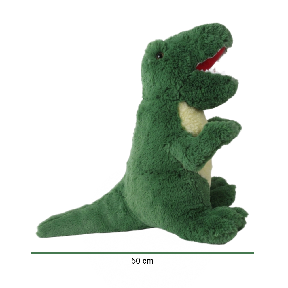 213067 DINO FOTO 3