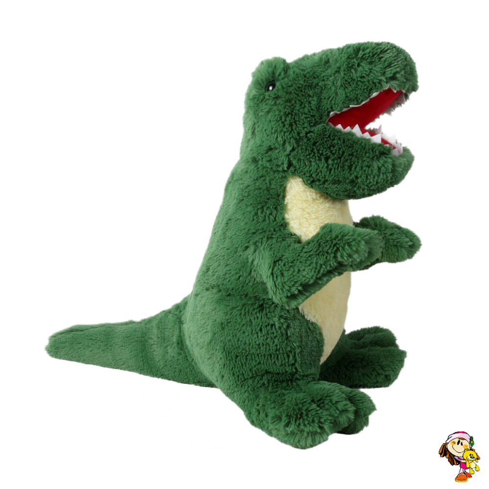 213067 DINO FOTO OLIS