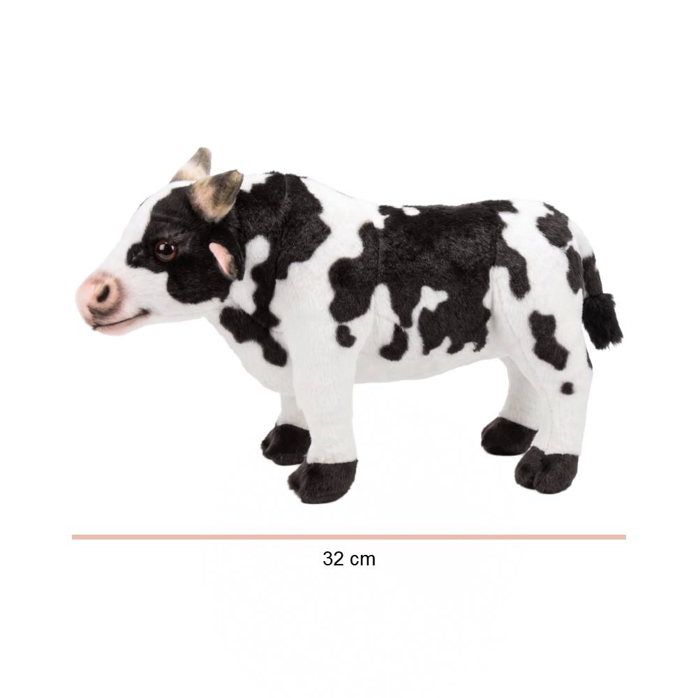P2255-30 VACA FOTO 2