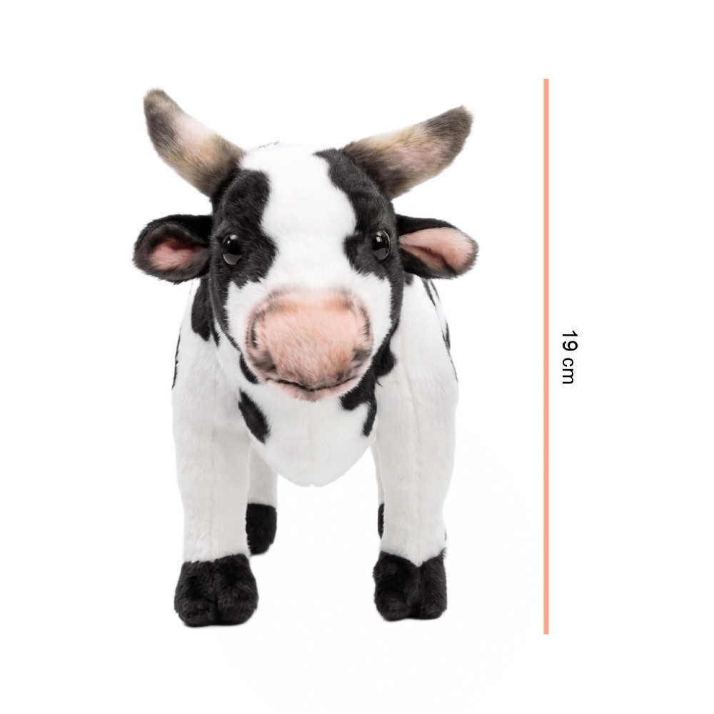 P2255-30 VACA FOTO 3