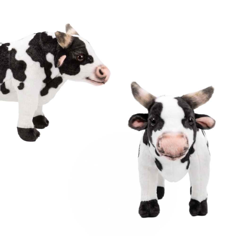 P2255-30 VACA FOTO 4